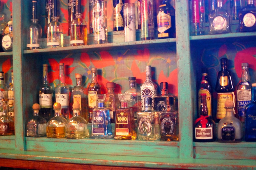 And Her Little Dog Too