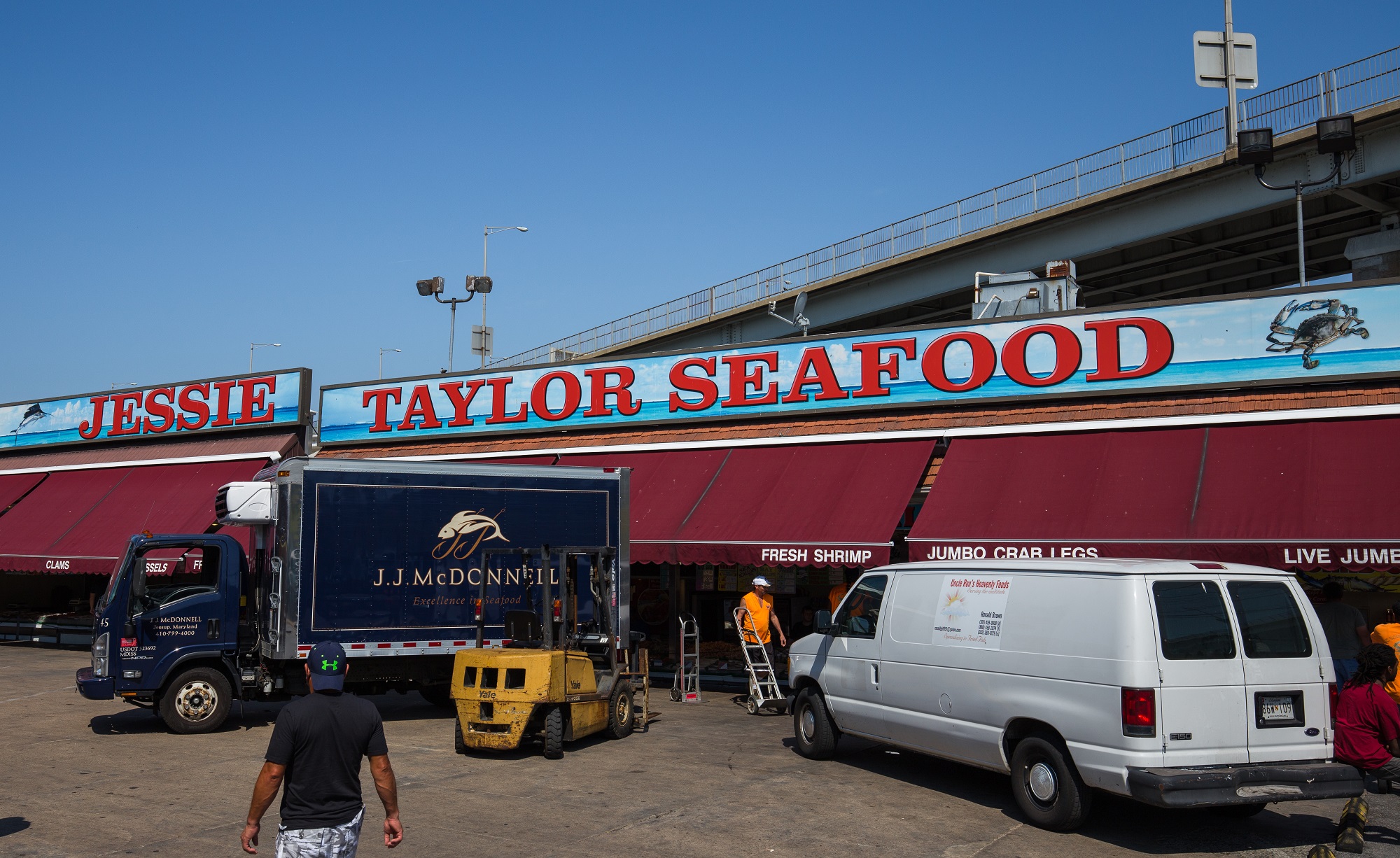 Jesse Taylor Seafood